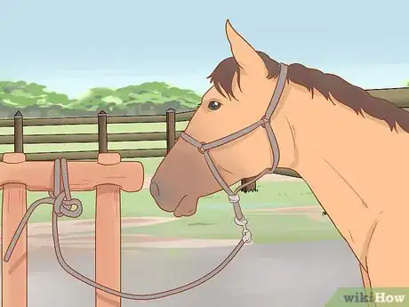 Image titled Draw a Horse's Blood Step 2