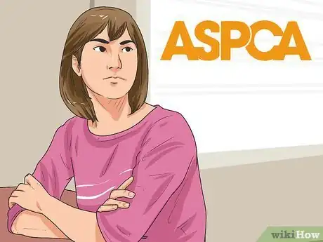 Image titled Find and Adopt a Healthy and Happy Shelter Dog Step 9