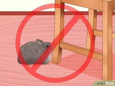 Image titled Care for Jersey Wooly Rabbits Step 8