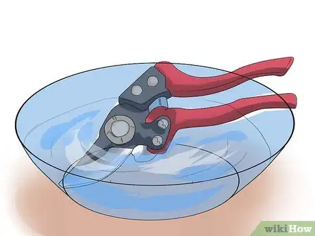 Image titled Prune Drift Roses Step 4