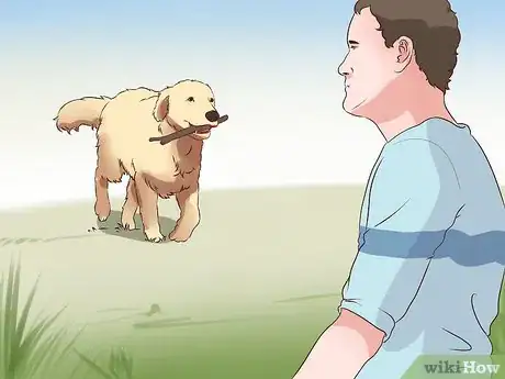 Image titled Exercise With Your Dog Step 5