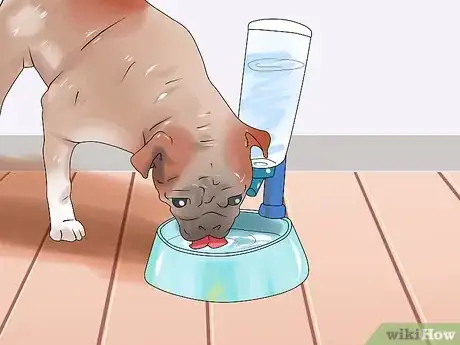 Image titled Keep Your Dog Comfortable Outdoors Step 5