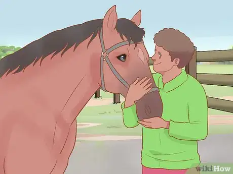 Image titled Handle and Control a Stallion Step 5