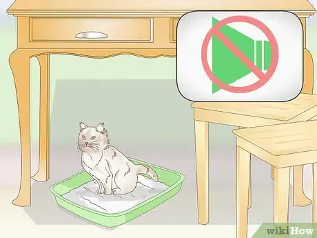 Image titled Prevent Stones in Cats Step 6