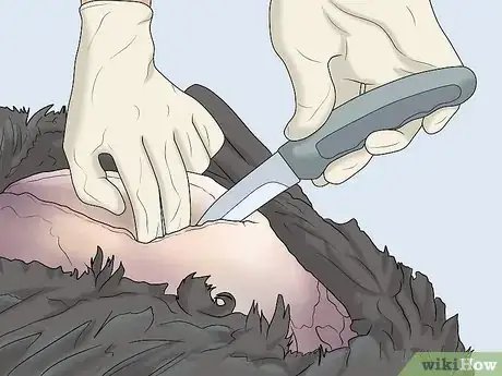 Image titled Dress a Turkey Step 8