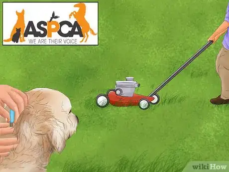 Image titled Make Your Home Safe for Your Dog Step 9