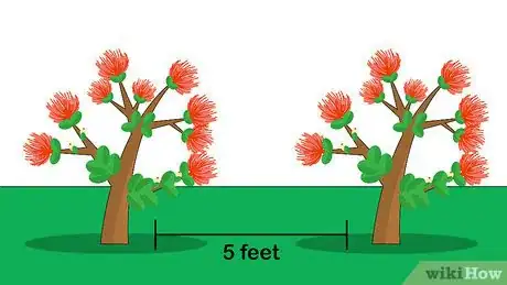 Image titled Grow an Ohia Tree Step 12