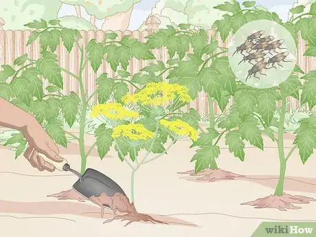 Image titled Prevent Spider Mites Step 9