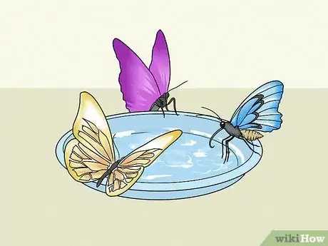 Image titled Make a Butterfly Feeder Step 13