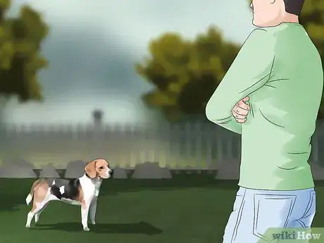 Image titled Stop Your Pets from Eating Cicadas Step 2