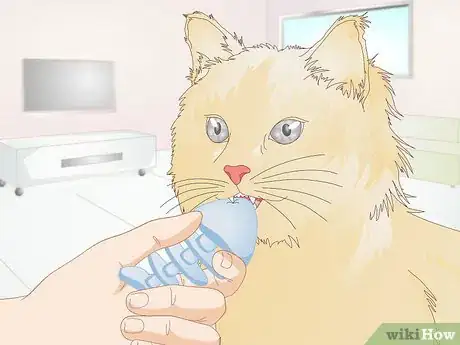 Image titled Prevent Feline Dental Disease Step 8