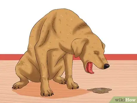 Image titled Cure Frequent Dog Vomiting Step 1