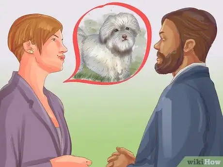 Image titled Choose a Lowchen Puppy Step 6