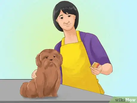 Image titled Take Care of a Shih Tzu Step 3