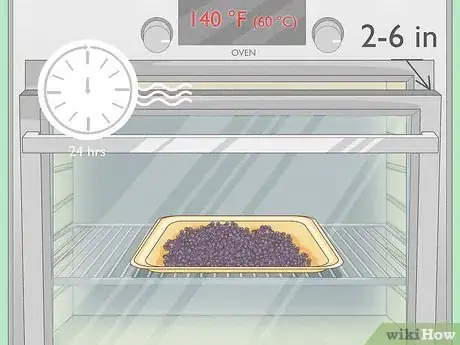 Image titled Harvest Elderberries Step 7