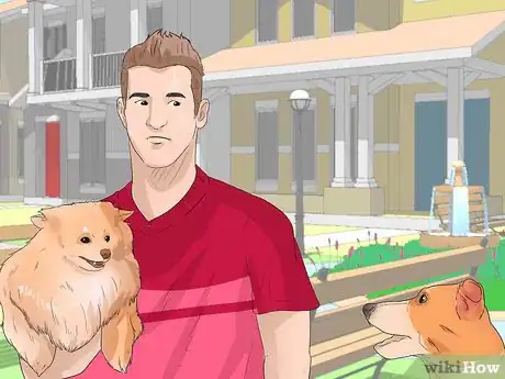 Image titled Understand Small Dog Syndrome Step 6