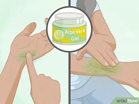 Image titled Use Herbs to Heal Step 1