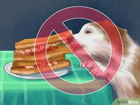 Image titled Keep a Dog or Cat Successfully While Living in an Apartment Step 21