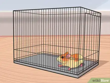 Image titled Dog‐Sit when You Have a Small Pet Step 10