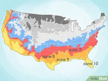 Image titled Grow Giant Calla Lily Step 4