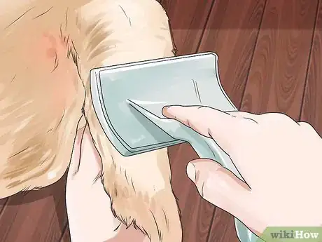 Image titled Brush a Long Haired Dog Step 11