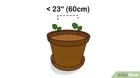 Image titled Grow Patchouli Step 8