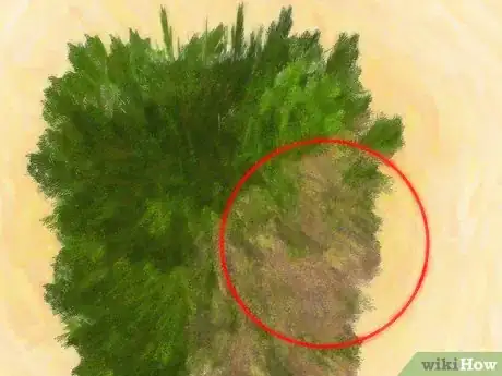 Image titled Plant Juniper Step 18