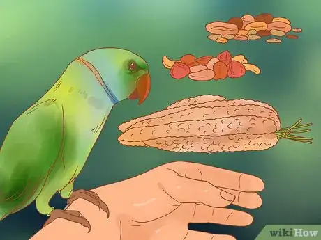 Image titled Keep Your Pets Happy Step 11