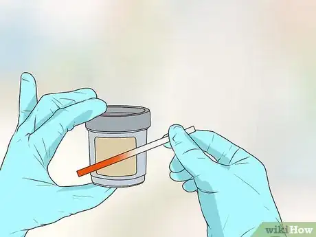 Image titled Get a Complete Geriatric Work Up for Your Dog Step 17