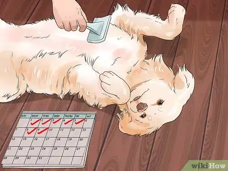 Image titled Brush a Long Haired Dog Step 13