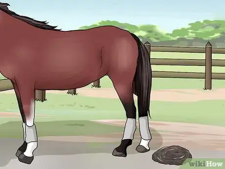Image titled Feed a Starving Horse Step 15