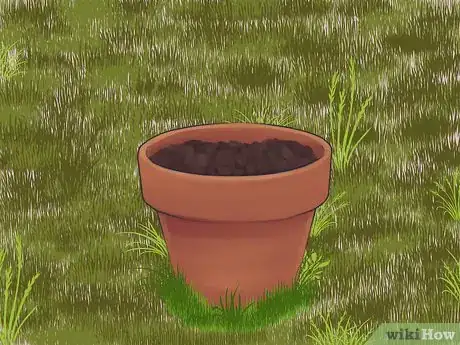 Image titled Plant a Plum Seed Step 15