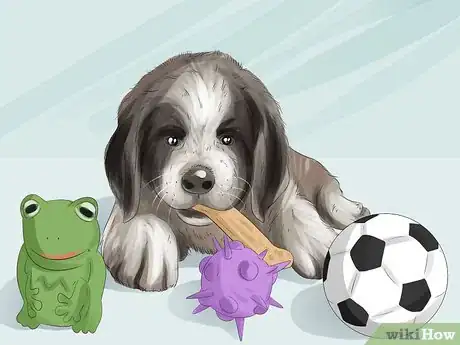 Image titled Have a Successful Visit to the Vet Step 5