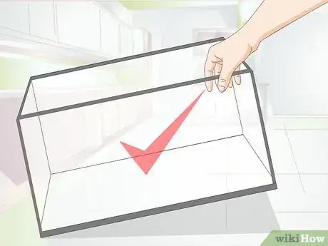 Image titled Keep German Blue Ram Cichlids Step 6