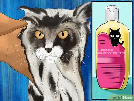 Image titled Diagnose and Treat Flea Allergies in Cats Step 13