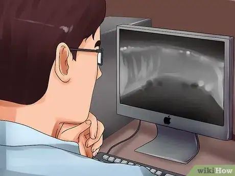 Image titled Detect Canine Bladder Stones Step 14