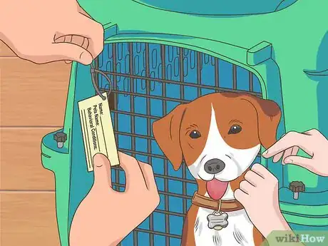 Image titled Fly with Pets Step 13