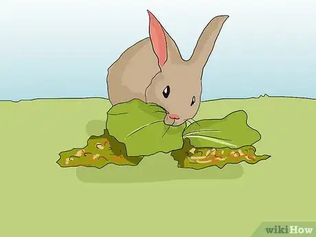Image titled Help an Overweight Rabbit Lose Weight Step 5