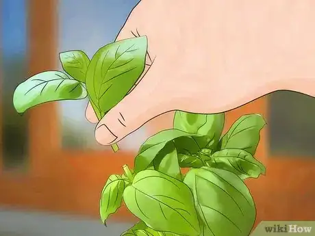 Image titled Grow an Indoor Herb Garden Step 26