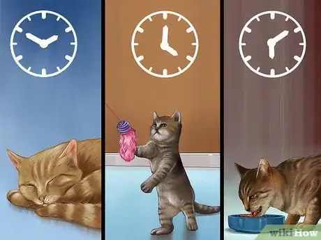 Image titled Deal with Stress‐Related Skin Problems in Cats Step 9