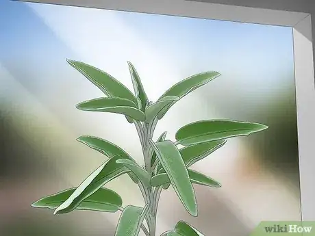 Image titled Choose Low‐Maintenance Houseplants Step 17