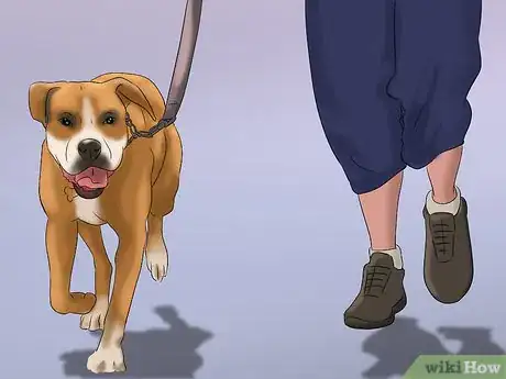 Image titled Encourage Your Dog to Enjoy Being Around You Step 3