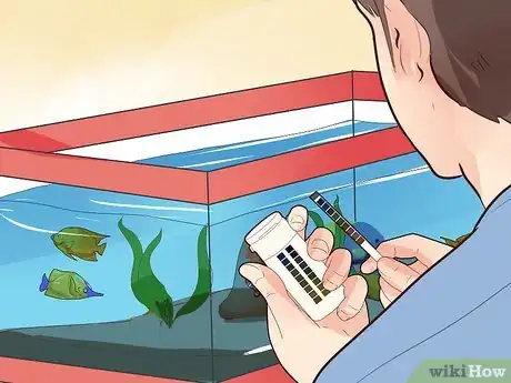 Image titled Make Your Fish Live Longer Step 16