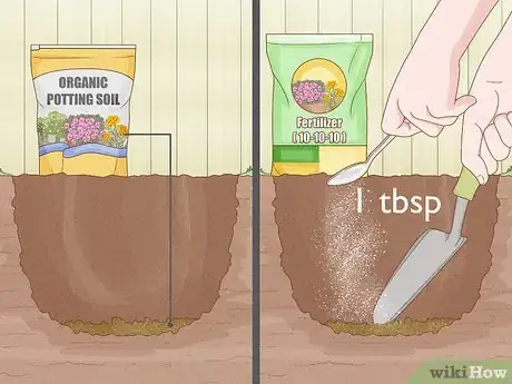 Image titled Transplant Potted Flowers Outdoors Step 3