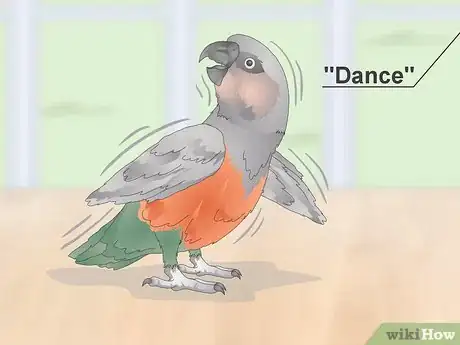 Image titled Teach a Red Bellied Parrot to Speak Step 7