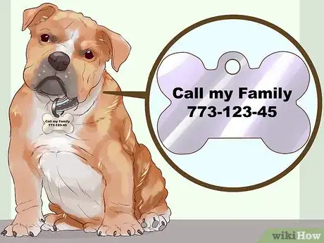 Image titled Include Your Dog in an Emergency Disaster Plan Step 1