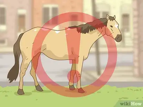 Image titled Eat Creeping Charlie Step 12