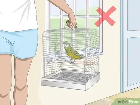 Image titled Deal with a Fearful or Stressed Senegal Parrot Step 1