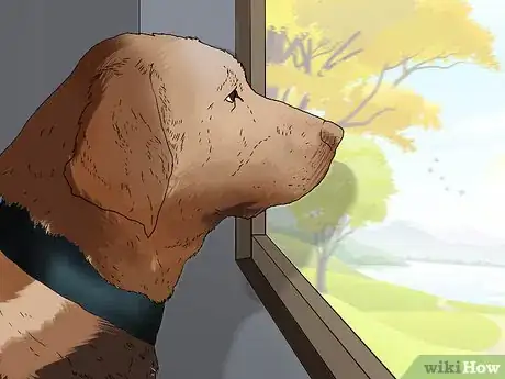 Image titled Keep Your Dog Calm After Neutering Step 11