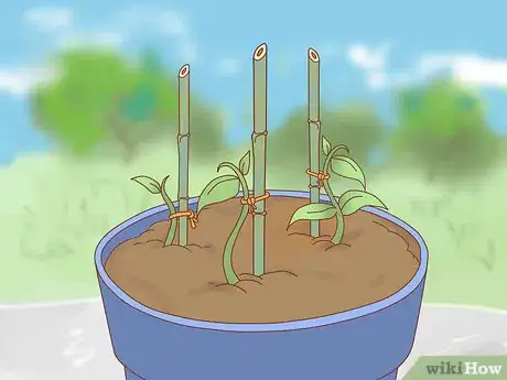 Image titled Prune Jasmine Step 15